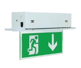 Exit Sign Recessed Luminaires
